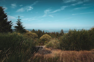 Serra da Estrela