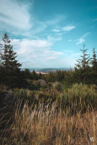 Serra da Estrela