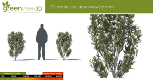 greenview3D
