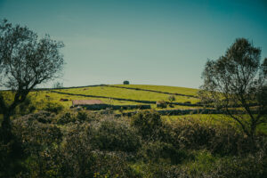 Serra dos Candeeiros, Fornea