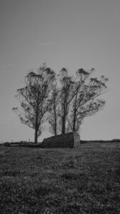 Serra dos Candeeiros, Fornea