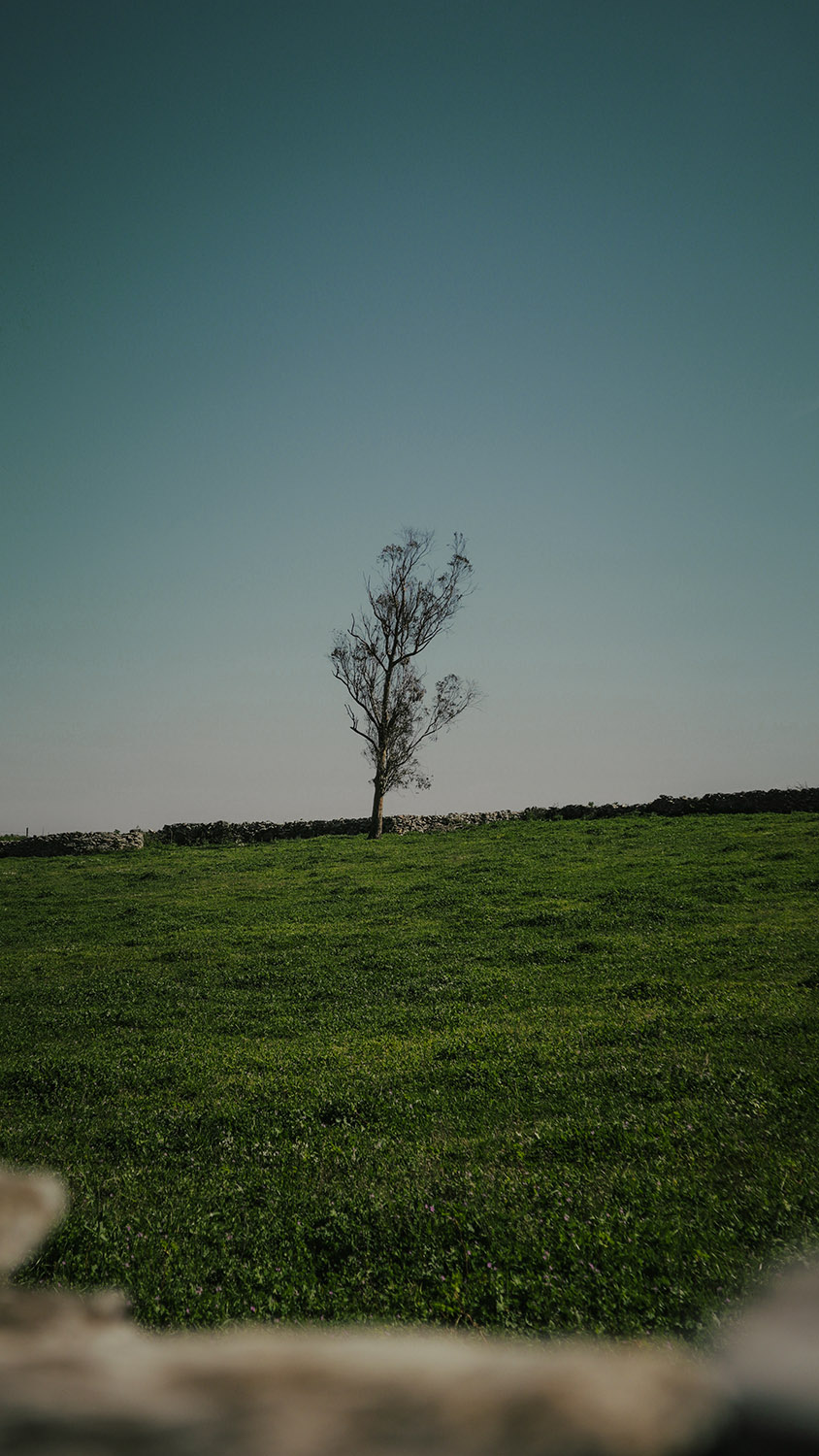 Serra dos Candeeiros, Fornea