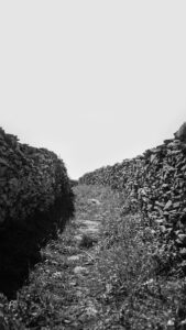Serra dos Candeeiros, Fornea