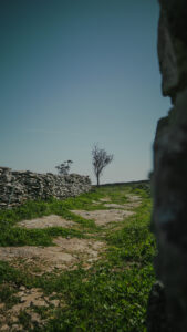 Serra dos Candeeiros, Fornea