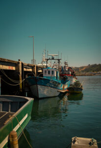 fujifilm x-t20, preset, The harbor of Nazaré, Fujifilm X-Trans III Recipes