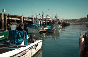 fujifilm x-t20, preset, The harbor of Nazaré, Fujifilm X-Trans III Recipes
