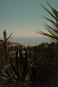fujifilm x-t20, preset, são pedro de moel, Fujifilm X-Trans III Recipes