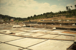 fujifilm x-t20, preset, Fujifilm X-Trans III Recipes Salinas de Rio Maior