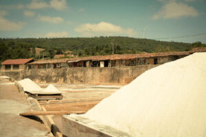fujifilm x-t20, preset, Fujifilm X-Trans III Recipes Salinas de Rio Maior