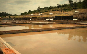 fujifilm x-t20, preset, Fujifilm X-Trans III Recipes Salinas de Rio Maior
