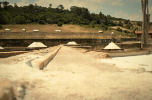 fujifilm x-t20, preset, Fujifilm X-Trans III Recipes Salinas de Rio Maior