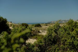 Nazaré, paia dos salgados, fujifilm, recipe